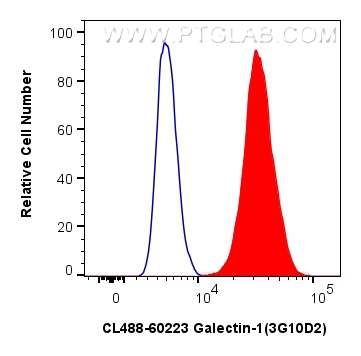 FC experiment of U2OS using CL488-60223