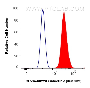 FC experiment of U2OS using CL594-60223