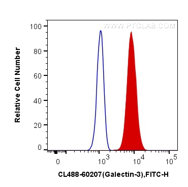 FC experiment of HeLa using CL488-60207