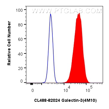 FC experiment of HeLa using CL488-82024