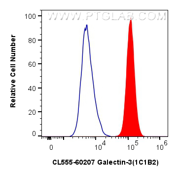 FC experiment of HeLa using CL555-60207