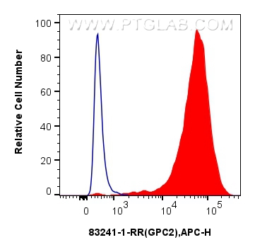 FC experiment of SH-SY5Y using 83241-1-RR (same clone as 83241-1-PBS)