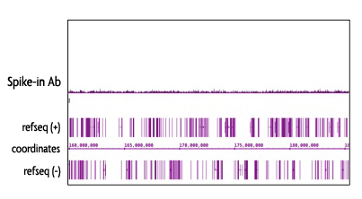 Specificity of the Spike-in Antibody