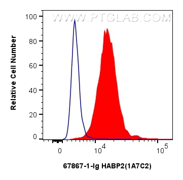 FC experiment of HepG2 using 67867-1-Ig