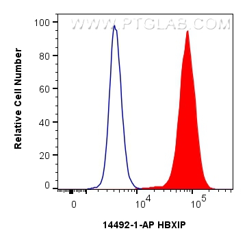 FC experiment of MCF-7 using 14492-1-AP