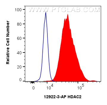 FC experiment of HeLa using 12922-3-AP