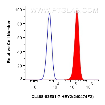 FC experiment of HeLa using CL488-83501-7