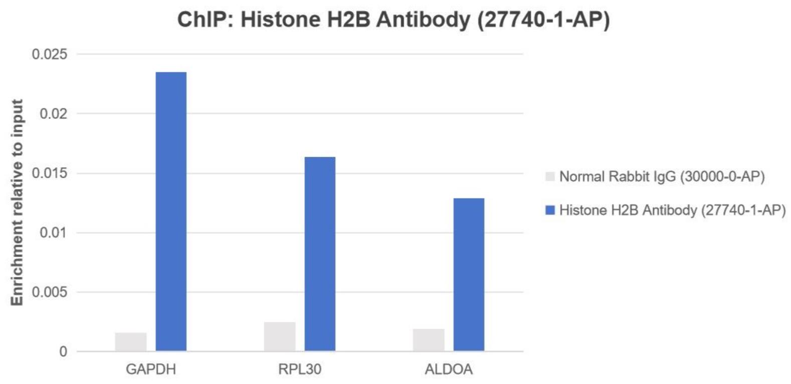 ChIP experiment of HEK-293 using 27740-1-AP