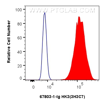 FC experiment of HeLa using 67803-1-Ig