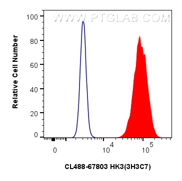 FC experiment of HeLa using CL488-67803