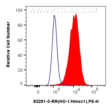 FC experiment of NIH/3T3 using 83291-3-RR (same clone as 83291-3-PBS)