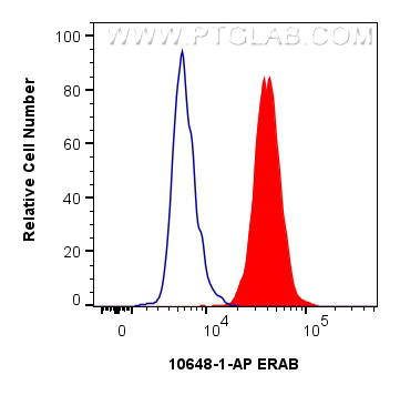 FC experiment of MCF-7 using 10648-1-AP