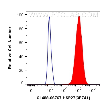 FC experiment of MCF-7 using CL488-66767