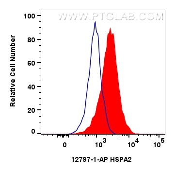 FC experiment of HeLa using 13171-1-AP