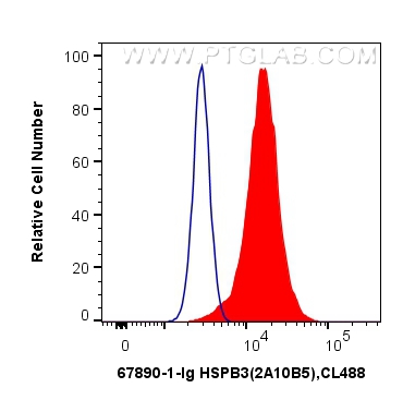 FC experiment of HeLa using 67890-1-Ig (same clone as 67890-1-PBS)