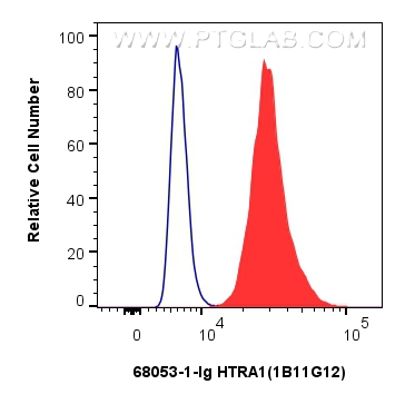 FC experiment of HeLa using 68053-1-Ig