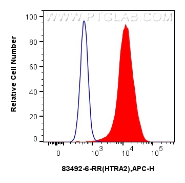 FC experiment of HeLa using 83492-6-RR (same clone as 83492-6-PBS)