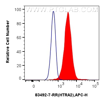 FC experiment of HeLa using 83492-7-RR (same clone as 83492-7-PBS)