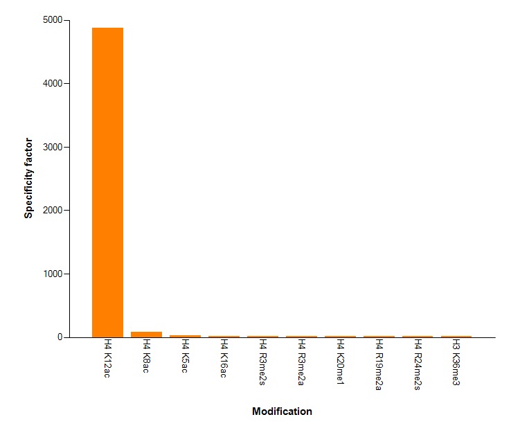 Histone H4K12ac antibody (mAb) specificity tested by peptide array analysis. Peptide array analysis was used to confirm the specificity of this antibody for its intended modification. Histone H4K12ac antibody (mAb) was applied at a dilution of 0.7 ug/ml to Active Motif's MODified Histone Peptide Array (Catalog No. 13001). The arrays were scanned with ArrayAnalysis Software 7 and the results plotted. Specificity data is shown for the most reactive peptides and those related to the immunogen.