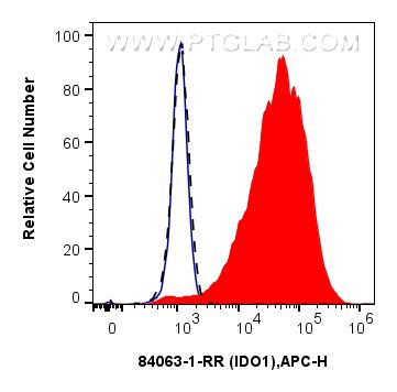 FC experiment of HeLa using 84063-1-RR (same clone as 84063-1-PBS)