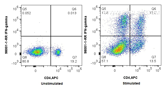 FC experiment of wistar rat splenocytes using 98001-1-RR