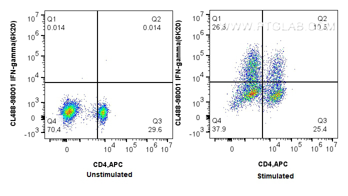 FC experiment of rat splenocytes using CL488-98001