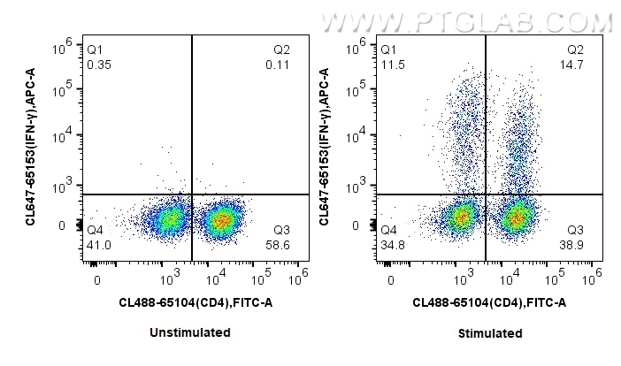 IFN-gamma