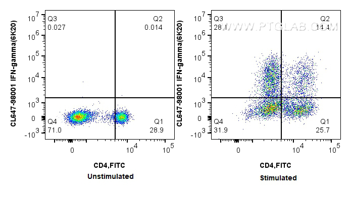 FC experiment of rat splenocytes using CL647-98001