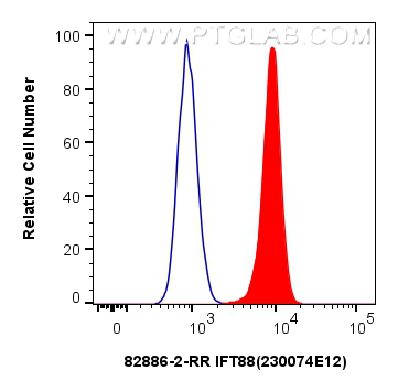 FC experiment of HEK-293 using 82886-2-RR