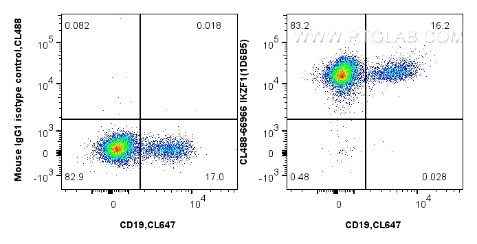 FC experiment of human PBMCs using CL488-66966