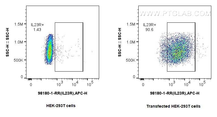 FC experiment of Transfected HEK-293T using 98180-1-RR (same clone as 98180-1-PBS)