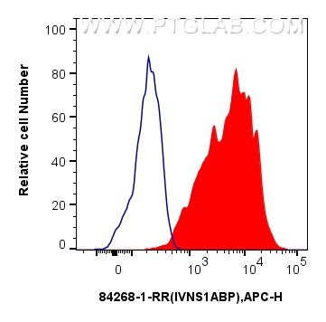 FC experiment of HeLa using 84268-1-RR (same clone as 84268-1-PBS)