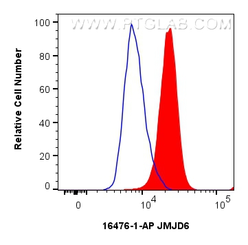 FC experiment of A549 using 16476-1-AP