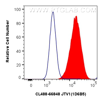 FC experiment of HeLa using CL488-66848