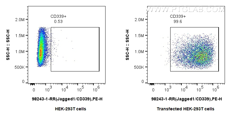 FC experiment of Transfected HEK-293T using 98243-1-RR