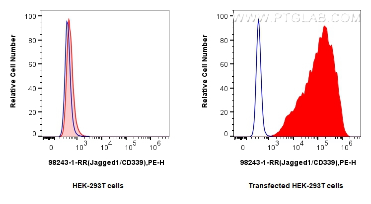 Jagged1/CD339