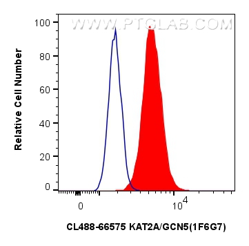 FC experiment of U2OS using CL488-66575