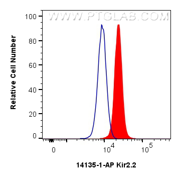 FC experiment of HEK-293 using 14135-1-AP