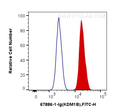 FC experiment of SW 1990 using 67886-1-Ig