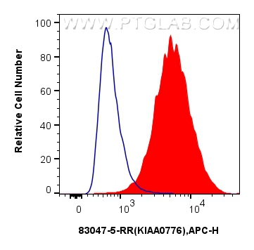 FC experiment of U2OS using 83047-5-RR