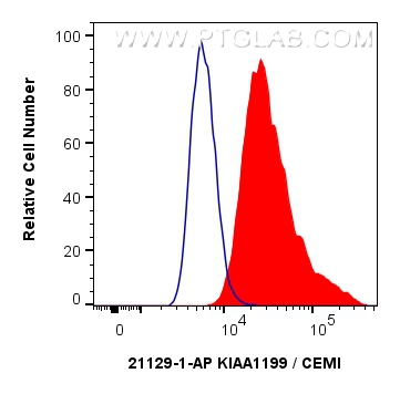 FC experiment of HepG2 using 21129-1-AP