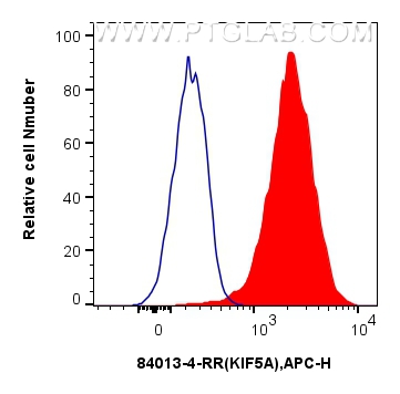 FC experiment of K-562 using 84013-4-RR