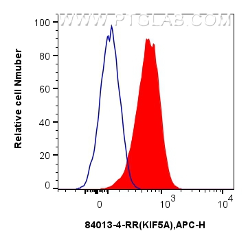 FC experiment of SH-SY5Y using 84013-4-RR