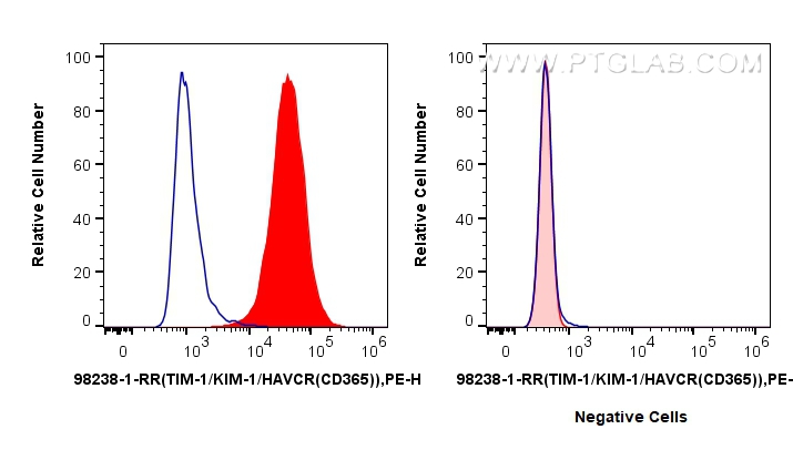 KIM-1/HAVCR1