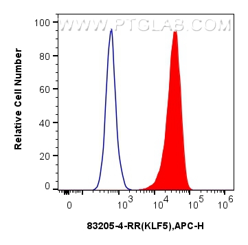 FC experiment of HT-29 using 83205-4-RR (same clone as 83205-4-PBS)