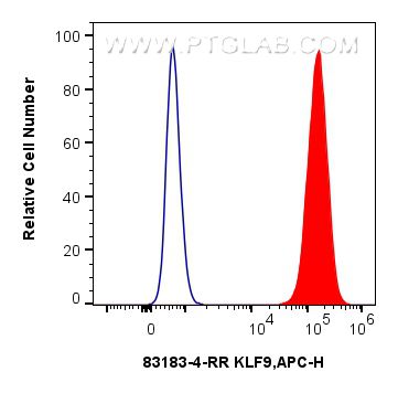 FC experiment of A549 using 83183-4-RR (same clone as 83183-4-PBS)