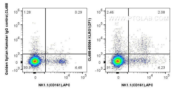 FC experiment of mouse splenocytes using CL488-65084