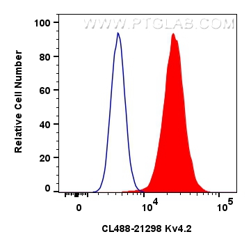 FC experiment of HeLa using CL488-21298