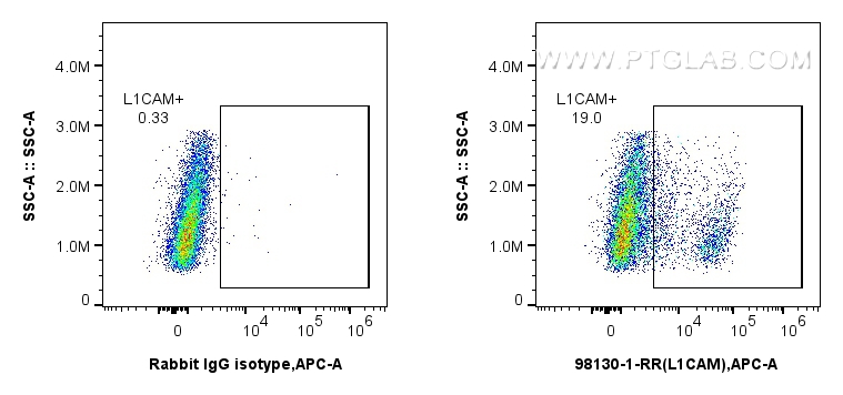 FC experiment of SK-N-SH using 98130-1-RR