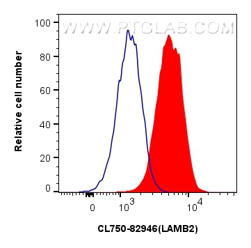 FC experiment of HepG2 using CL750-82946